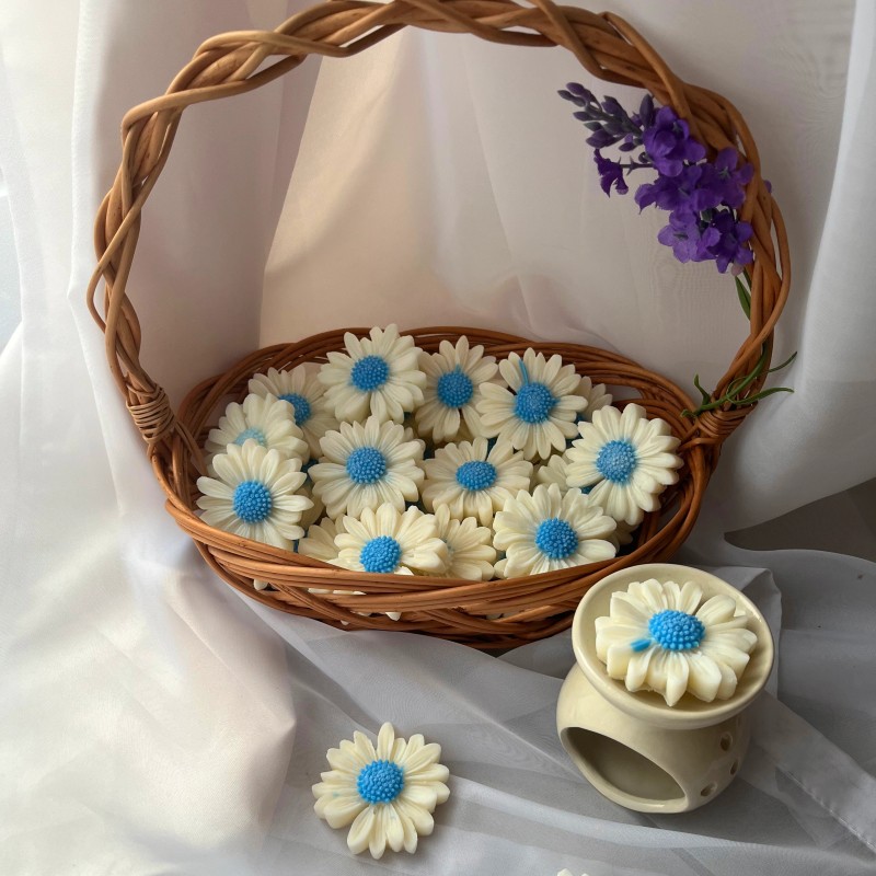 Podziękowania dla Gości